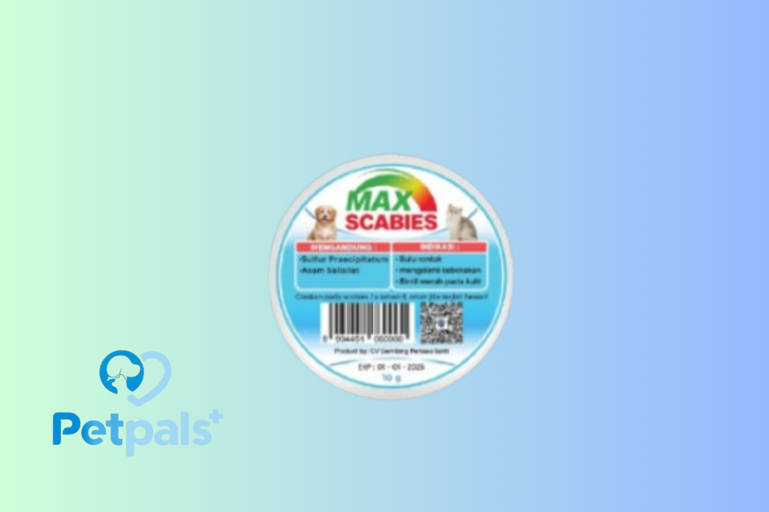 MAX SCABIES 10gr Salep Obat Infeksi Kulit SCABIES